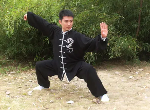 Униформа для боевых искусств на заказ искусственный шелк хлопок кунг фу тайчи