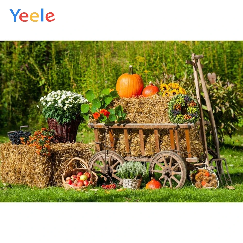 Фотофон Yeele с осенним урожаем Pumpkins Haystack для детской фотостудии С Днем