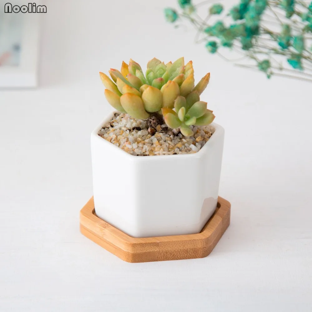 Современный простой белый керамический шестиугольный квадратный суккулент