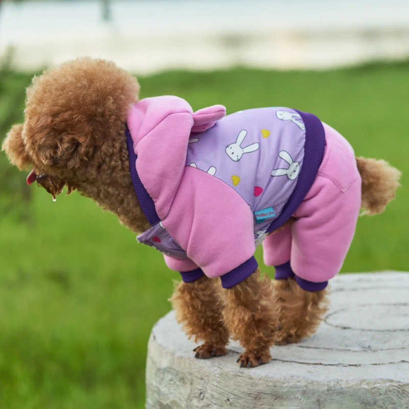 DOGGYSTYLE зимняя одежда для собак, теплое пальто для щенков, стеганая куртка с капюшоном, Комбинезоны для маленьких собак, чихуахуа, костюмы Тедди