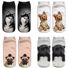 Носки унисекс с 3D-принтом собаки, повседневные короткие носки с мультяшным рисунком, бесплатная доставка