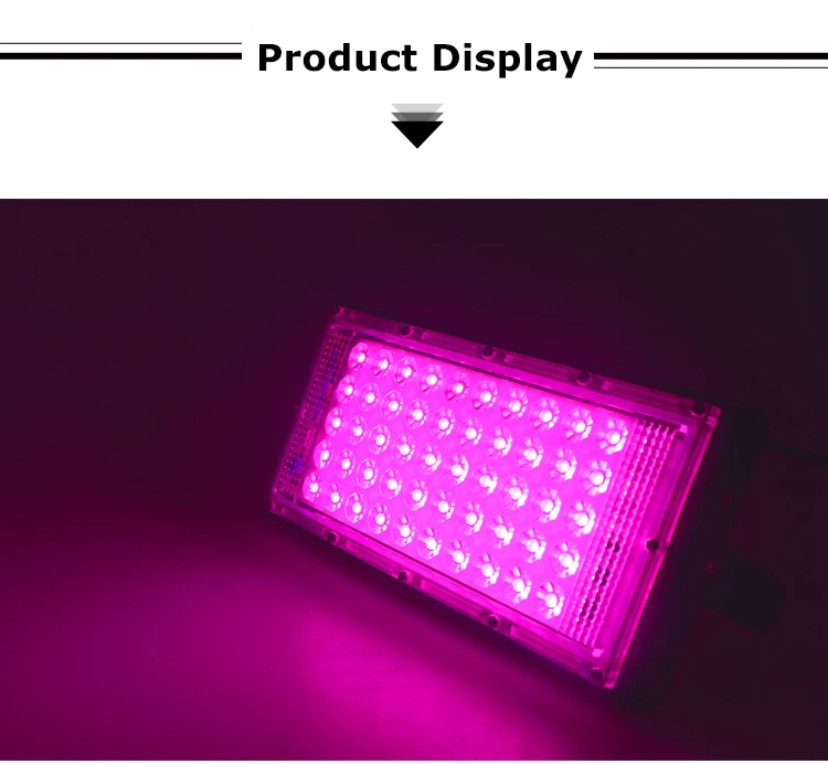 Borbede Led Grow Light 50W Full Spectrum Full Spectrum for Vegetable Flower Indoor Plants Grow Light фитолампа
