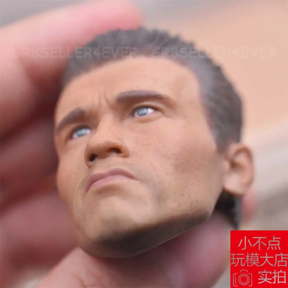 1/6 scale The Terminator the middle-aged Arnold Schwarzenegger T-800 Head Sculpt | Игрушки и хобби