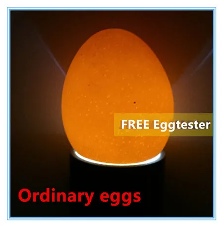 Новый 8 яйца Автоматический Инкубатор Куриного Мяса Птицы Перепела Eggtester