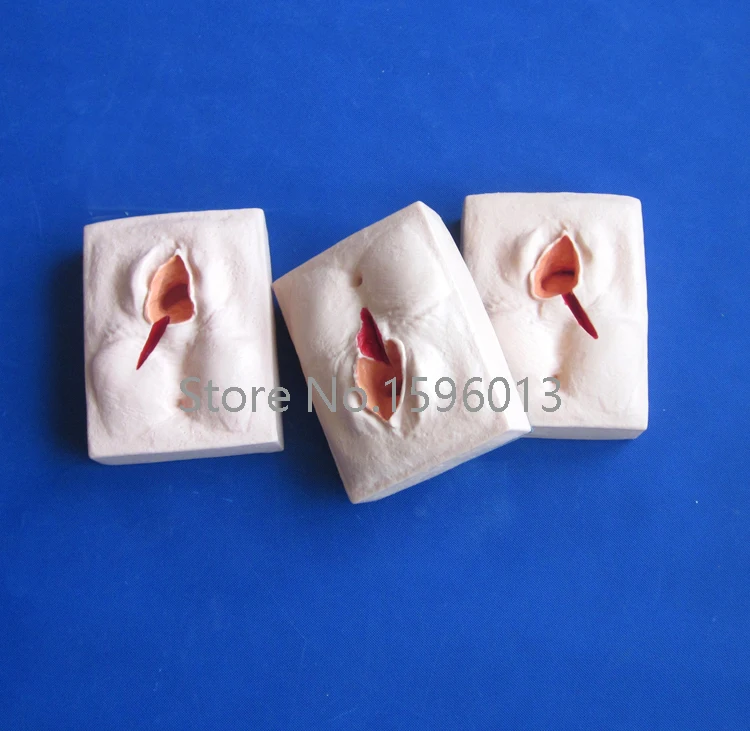 Вульва тренировочный симулятор 3 комплекта тренировочная модель для швов