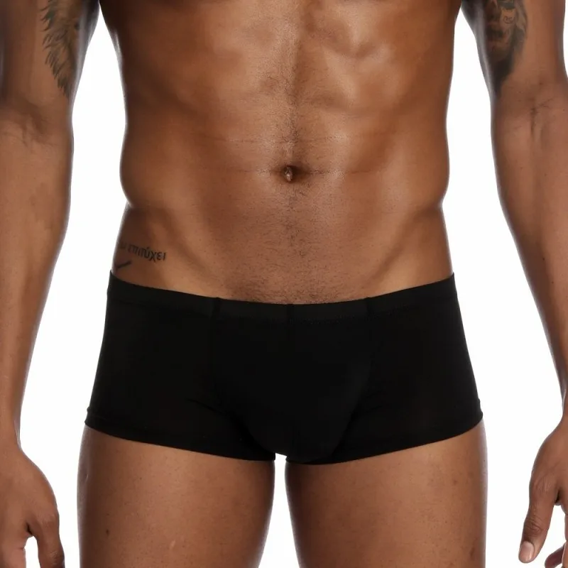 Pinky Senson Summer Ice Silk Men Underwear Seamless Transparent Boxer Short Ultra Thin Sheer Breathable Pantie Underpant