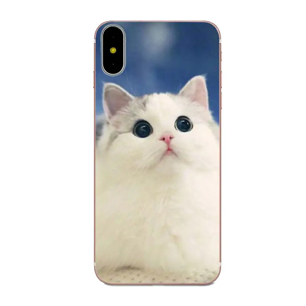 Любопытный Кот подкрадывающийся для Huawei Mate 7 8 9 10 20 P8 P9 P10 P20 P30 Lite Plus Pro 2017 Diy рисунок