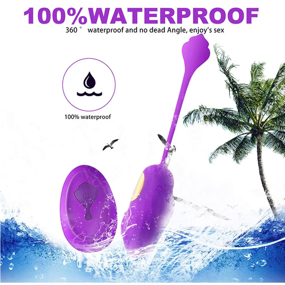 Шарики для секса Невидимый износ зарядка через USB Яйцо вибрирующий Электрический