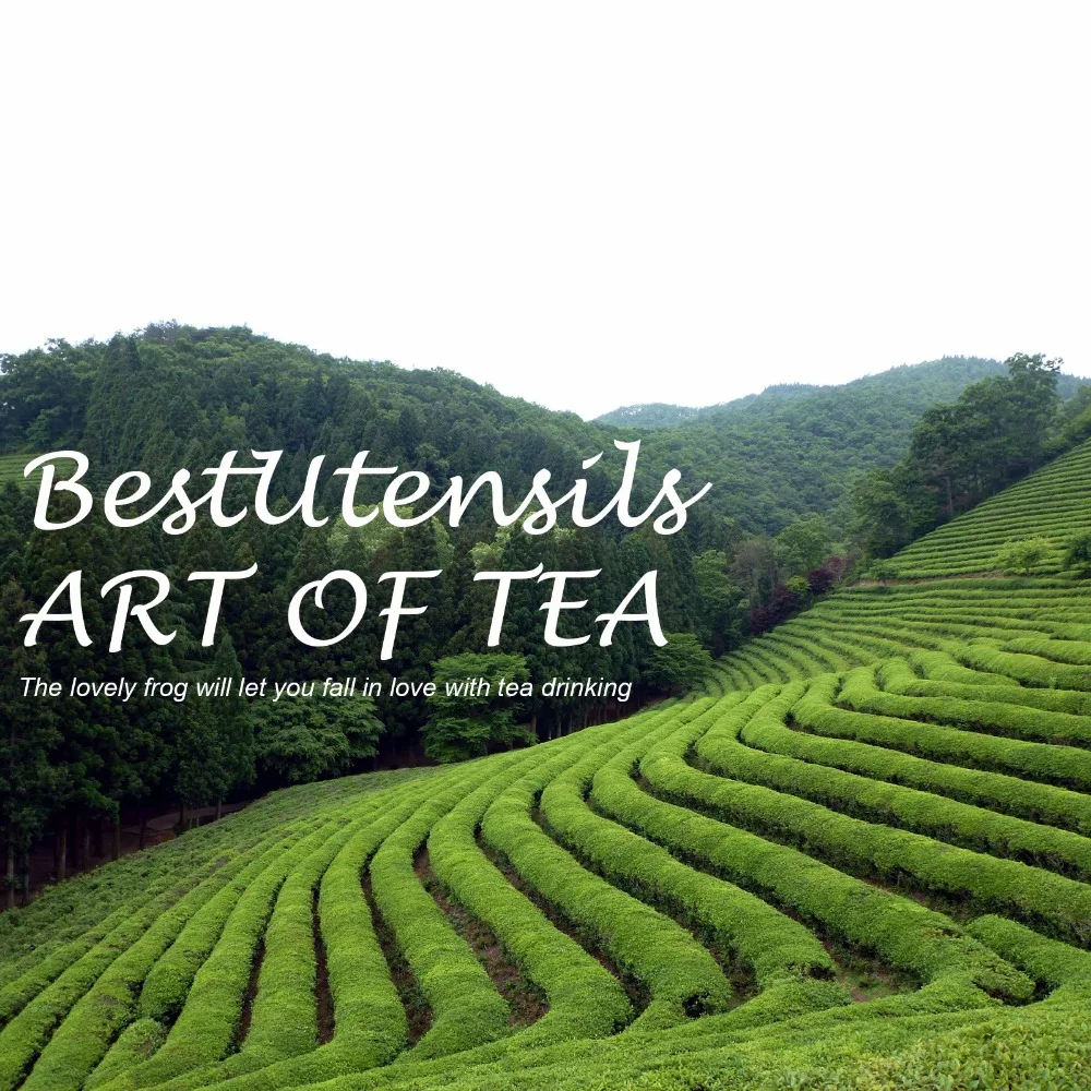 Новое поступление 2017 года Нержавеющая сталь лягушка сетка для заварки чая чай