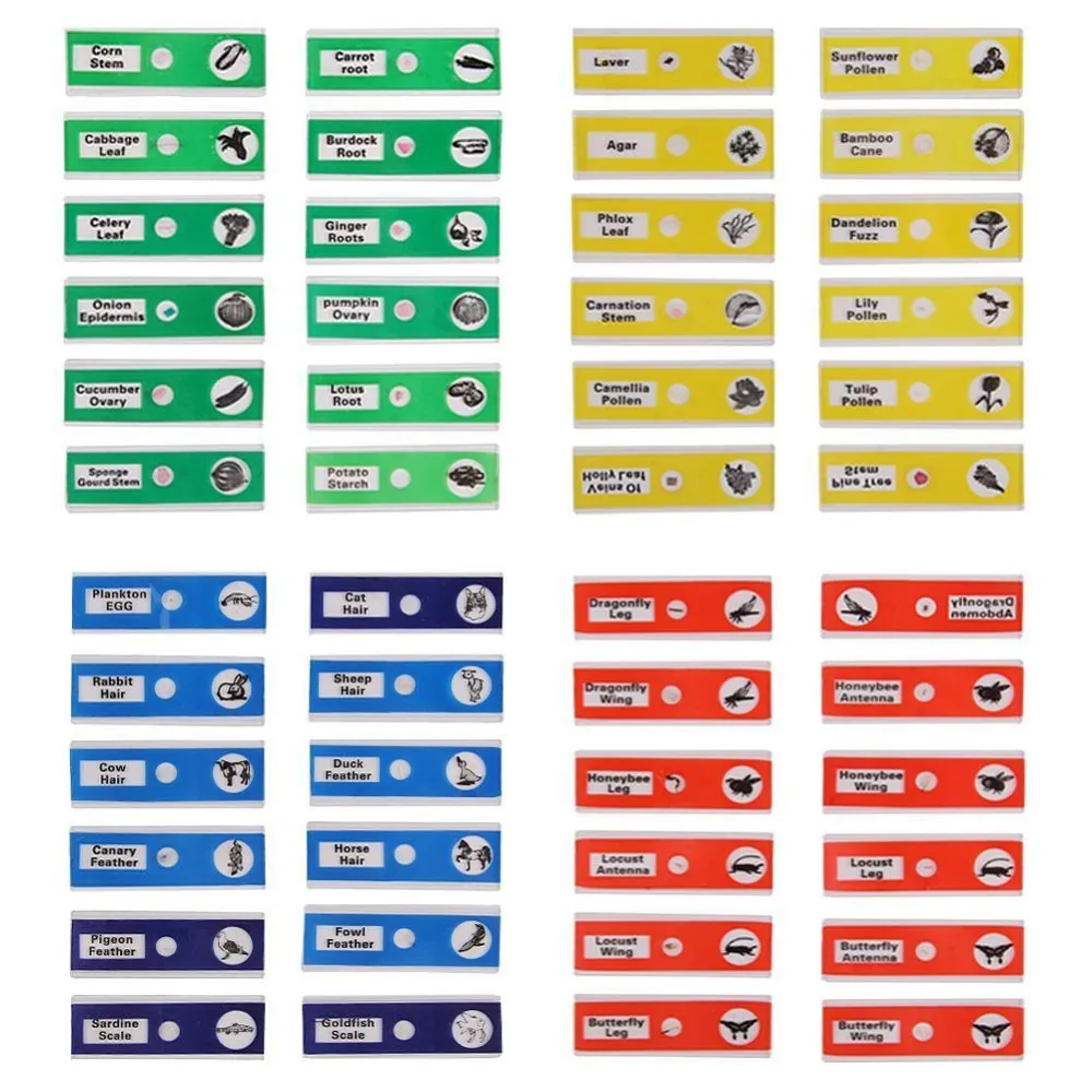 48 шт. Пластик подготовлены предметные головоломки биологический образец с 4