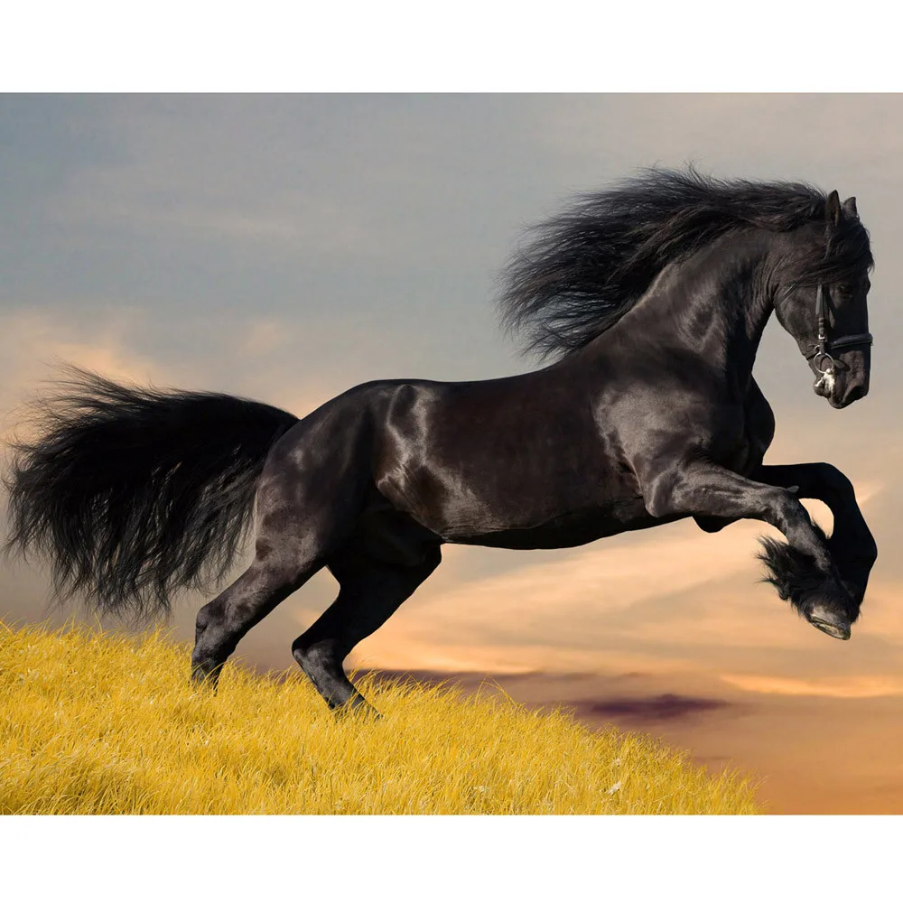 5D Вышивка Картины животное лошадь горный хрусталь приклеенные DIY Алмазная