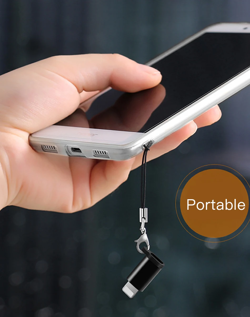 ACCEZZ брелок OTG адаптер Micro USB Женский до 8 Pin для iphone X XS MAX XR 8 7 6 Plus телефон к ПК передачи данных разъем