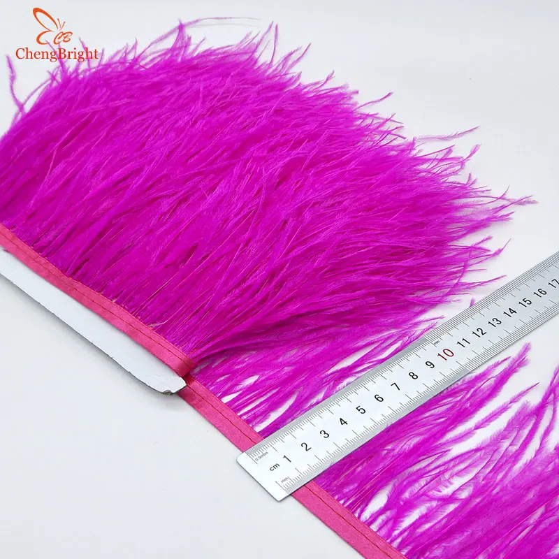 

ChengBright Wholesale High Quality 10Yards Rose Natural Ostrich Feather Ribbon Ostrich Feathers Trim Fringe Clothing Decoration