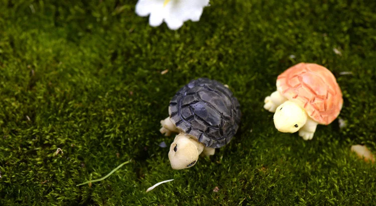 2 шт./лот Миниатюрная модель черепахи садовые миниатюры сделай сам домашние