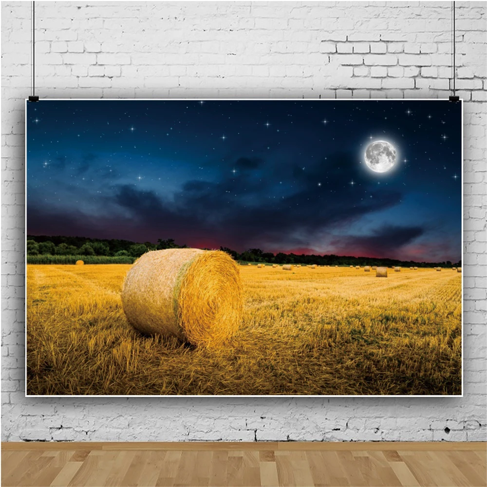Yeele Сельский пейзаж ночное небо сено тюк страна фотографии фоны для фотографий