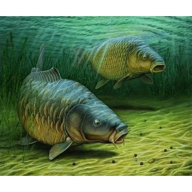 Алмазная 5D живопись сделай сам мозаика с двумя большими рыбками полностью