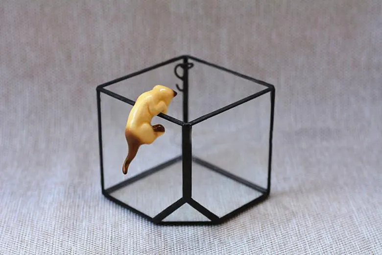 Домашние декоративные выставка рамка искусства цветочный горшок горшки