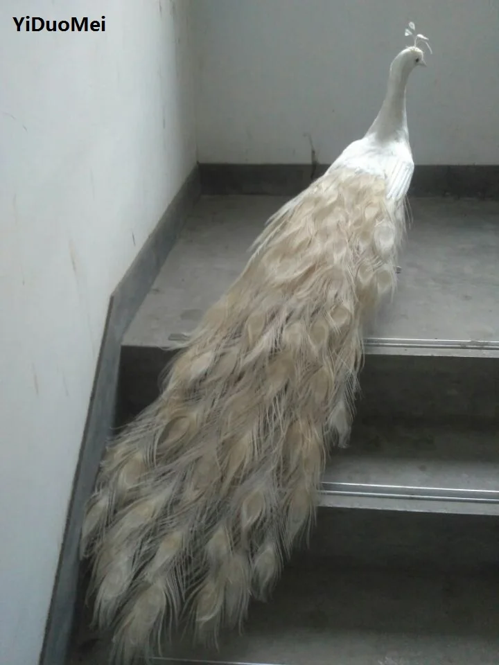 Большие белые перья 120 см модель павлина пенопластовые и красивые птицы ручной