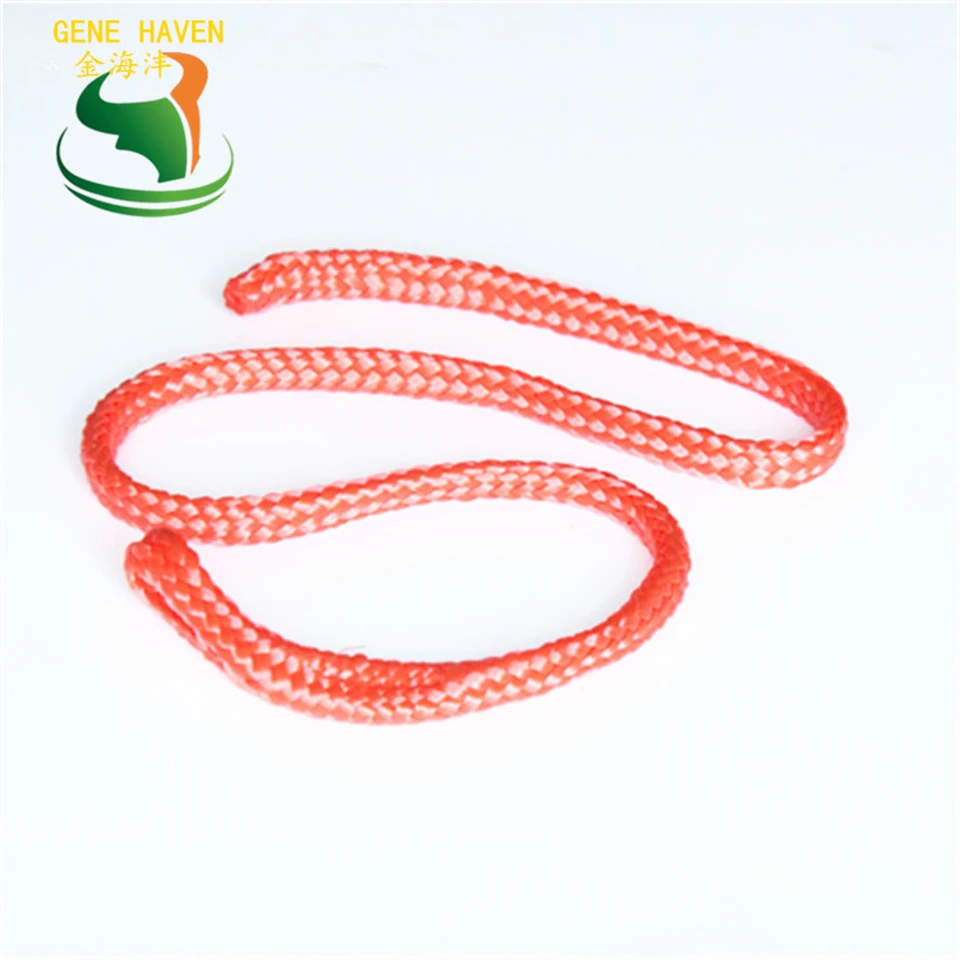 

Nylon Material Cow Obstetric Apparatus Rope for Cow Delivery Instruments Use