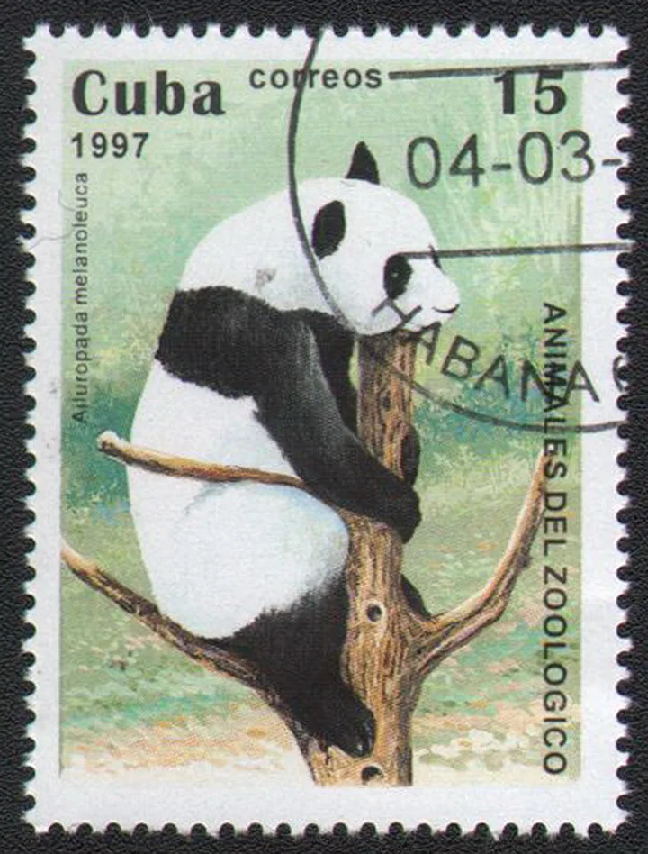 Панда Куба 1997 почтовая марка