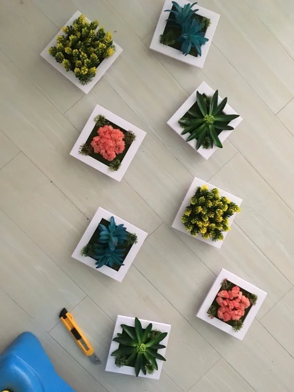 3D ручной работы Метопа суккулент растения имитация дерева фоторамка настенные украшения Искусственные цветы домашний декор