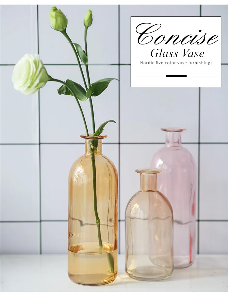 INS Small Mouth Glass Transparent Vase Nordic Wind Dried Flower Vases Japanese Home Wedding Decoration Colorful Flower Vases