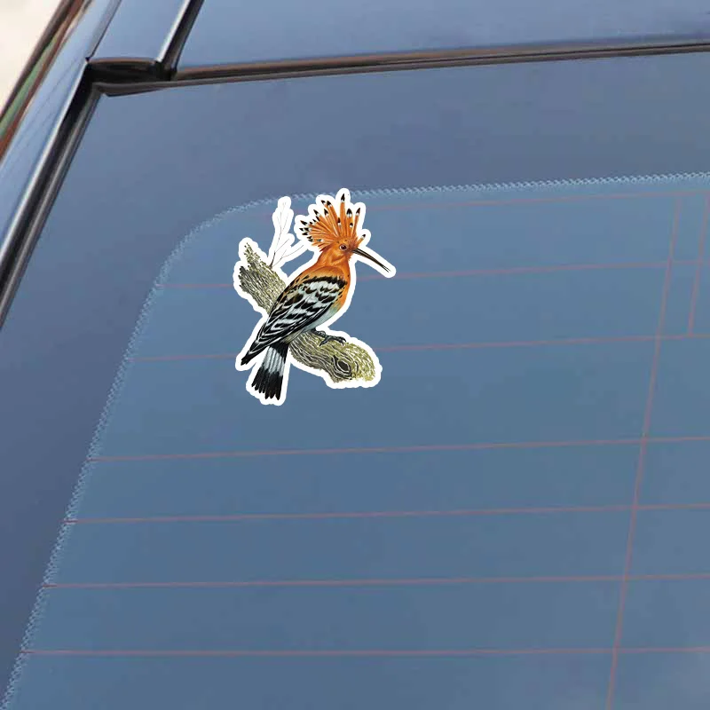 YJZT 12 3 см * 16 6 Hoopoe желто коричневая декоративная наклейка на окно из ПВХ 11