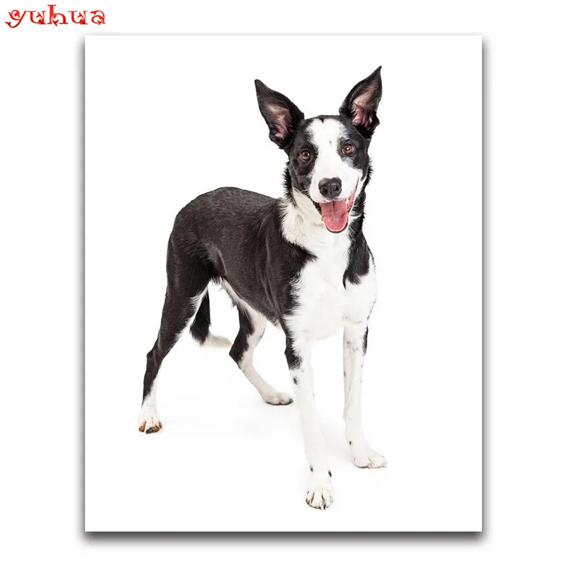 Полностью квадратная Алмазная Картина Вышивка крестом животные собаки DIY 3D