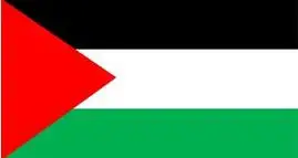 

Palestine Flags Wholesale Lot of 10 PCS National Polyester Banner150* 90cm 3ft x 5ft All over the world outdoor