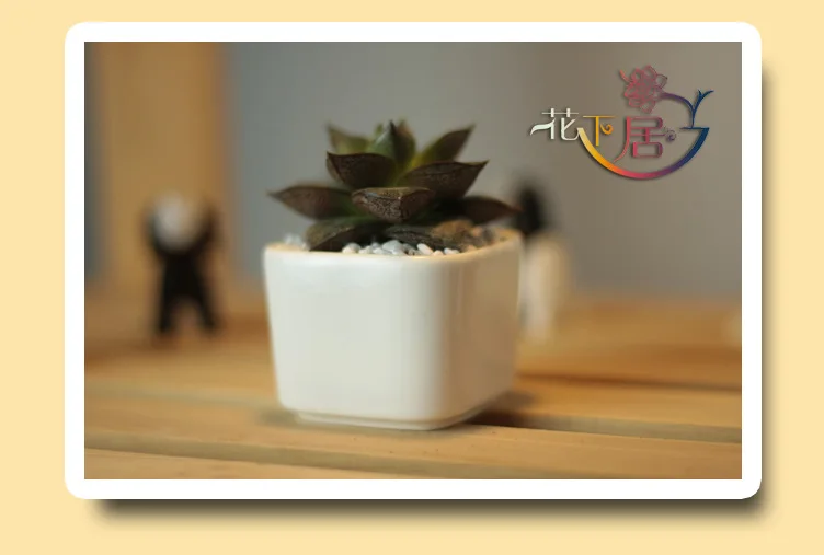 Креативные простые белые мини кастрюли керамический горшок маленький