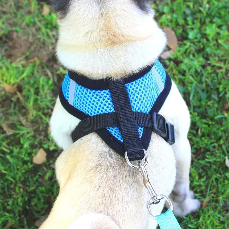 Комплект из шлейки и поводка для собак кошек дышащей нейлоновой сетки маленьких