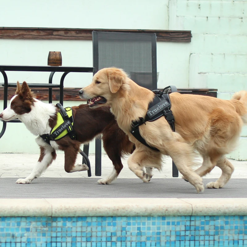 Светоотражающая сетчатая мягкая жилетка для маленьких и больших питомцев