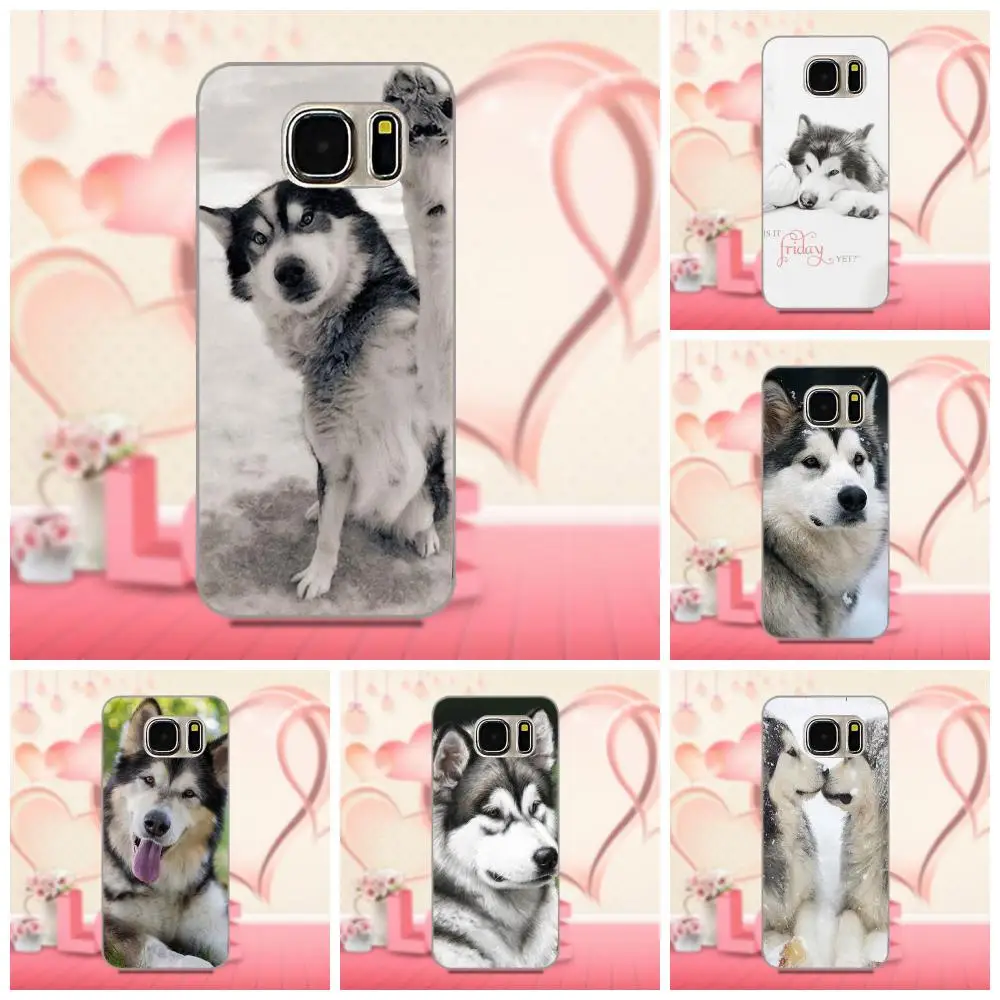 Oedmeb щенки из аляски маламута для Apple iPhone 4 4S 5 5C 5S SE 6 6S 7 8 Plus X LG G3 G4 G5 G6 K4 K7 K8 K10 V10