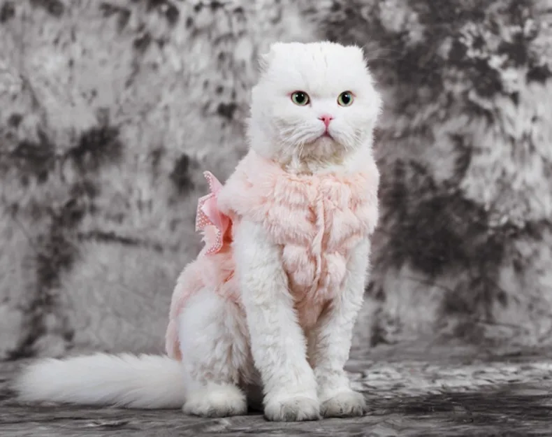 HOOPET Pet Clothes Elegant Luxury Fur Winter Overcoat Small Dog Cat Clothes Bowknot Chihuahua