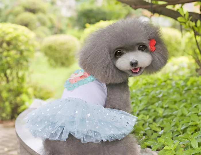 2016 новейшая для домашних собак платье пачка мопса одежда маленькие собаки