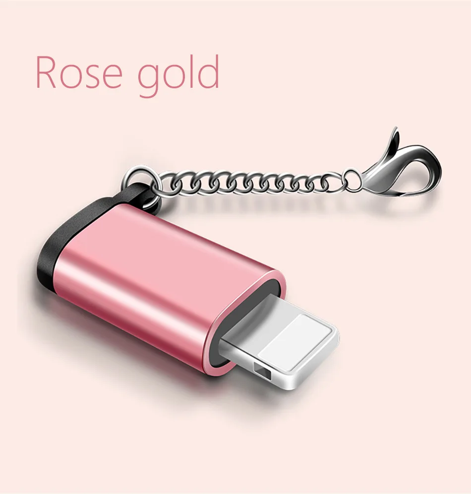 ACCEZZ Mini Micro USB для освещения 8 Pin для Apple адаптер с брелоком для iphone X XS XR 6 7 Plus синхронизация зарядное устройство OTG конвертер