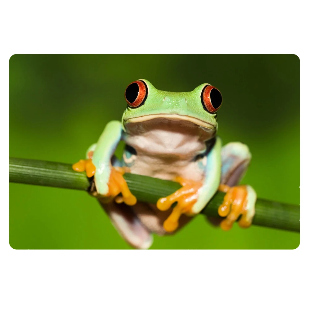 Кухонный коврик с принтом лягушки накидка нескользящий домашний для входного
