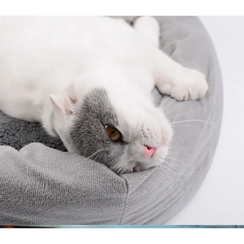 Высококачественный домик для домашних животных кошек котят щенков Осень зима