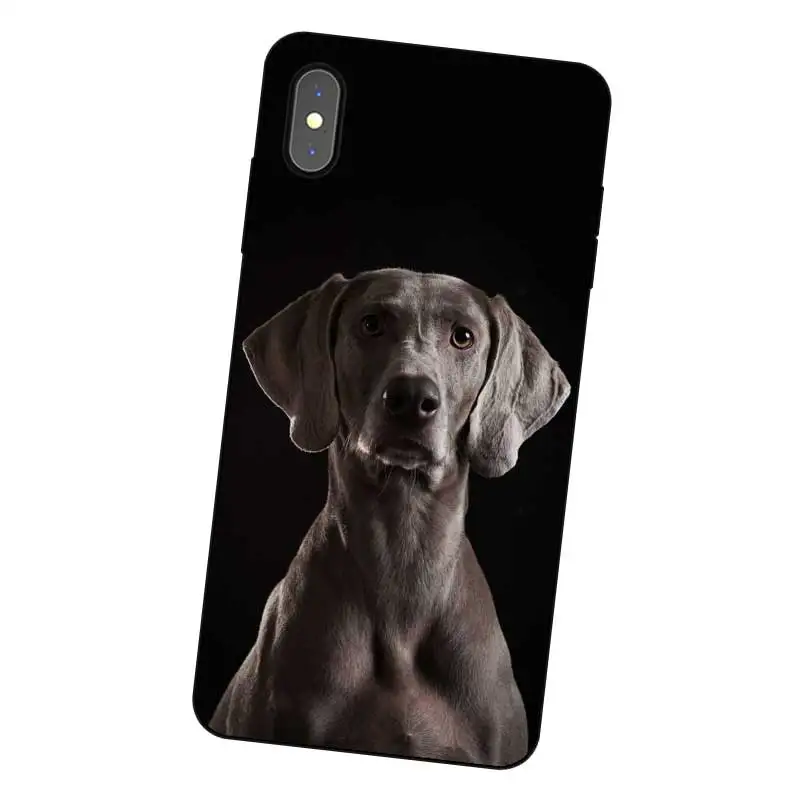 N464 Weimaraner Cute Black Silicone Case Cover For Apple iPhone 11 Pro XR XS Max X 8 7 6 6S Plus 5 5S SE |