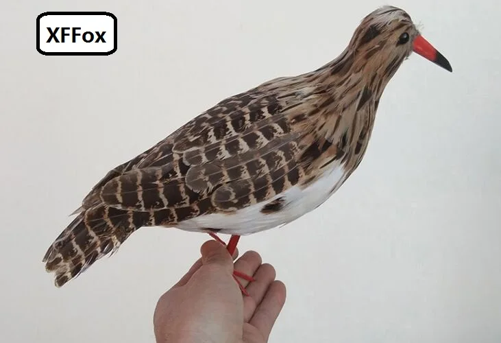 

creative real life Common Redshank bird model foam&feather simulation vivid bird gift about 30cm xf0881