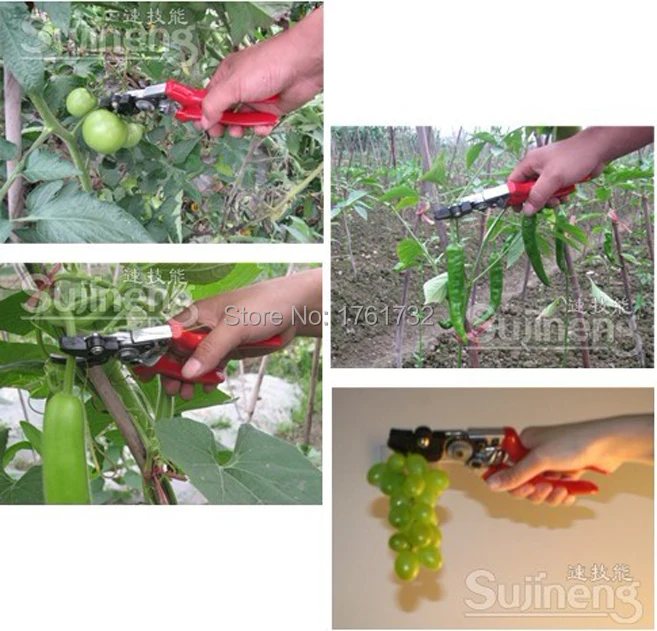 Хорошее качество продажа садовый инструмент секатор зажим для сбора томатный
