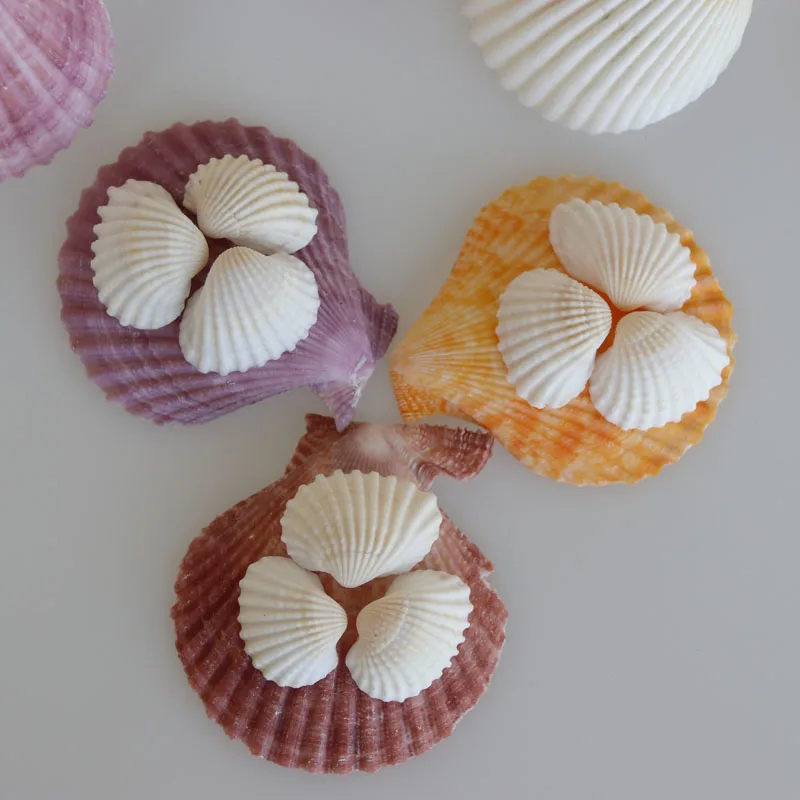 Бесплатная доставка (50 шт./лот) белая Кокосовая оболочка натуральная и ракушка