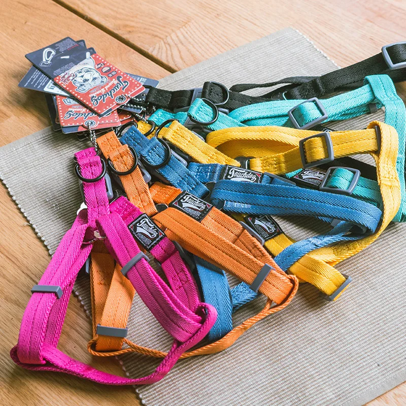 Large dog elastic traction rope eight kinds of color choose match at length 120 cm high strength plastic buckles safe durable |