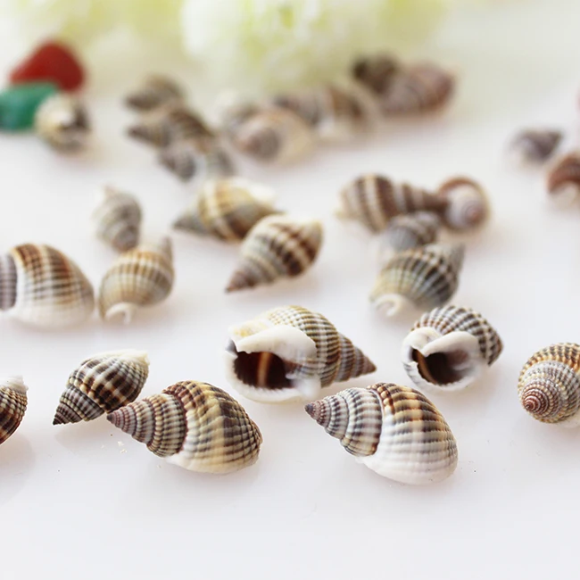 10 шт./лот ожерелье с морскими ракушками аквариумное украшение сделай сам