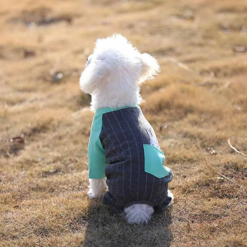 Весенняя Пижама для милых собак одежда домашних животных комбинезон мягкая и