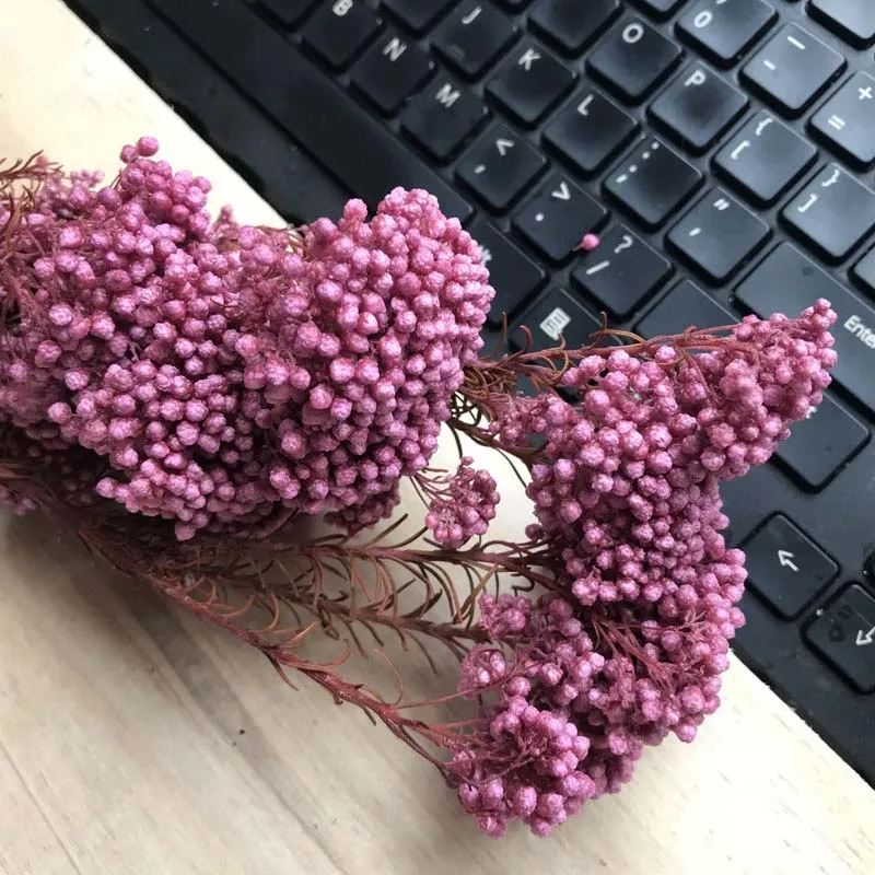 Pink Purple 50 г/длина 40 см Натуральный Свежий ramillete flores Eternell просо цветок, красота навсегда цветы букет для домашнего декора - Цвет: Pink Purple