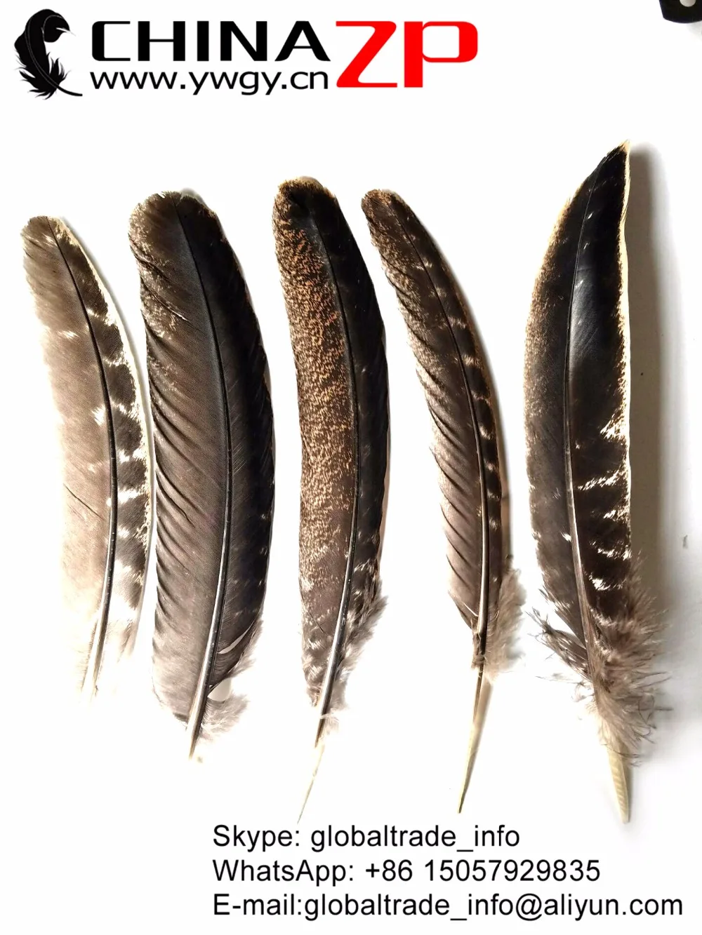 Китайские перышки с перьями 50 шт./лот размеры от 20 до 28 см|quill feather|wild turkeyfeather quill |