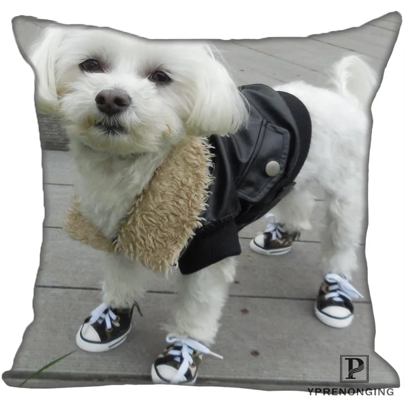 Лучший заказ _ Dog_Biker_Jacket (1) @ Наволочка на подушку спальня домашняя квадратная