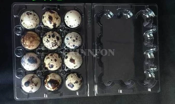 

1000Pcs/Lot 12 Holes Quail Egg Containers Plastic Egg Boxes D28mm/H39mm