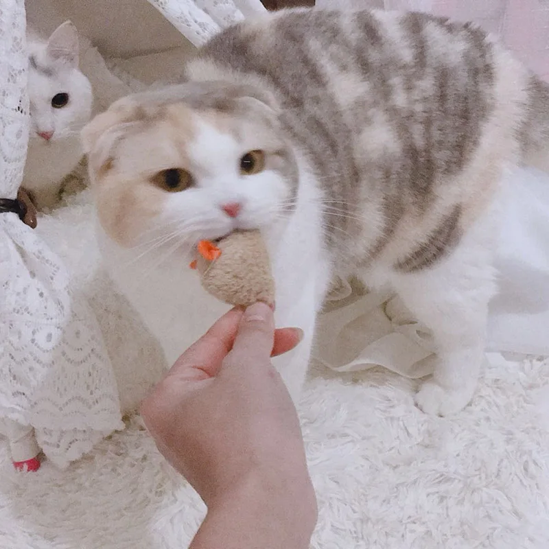3 шт./компл. кошка укуса упорная игрушка плюшевая имитация мыши прятки игра
